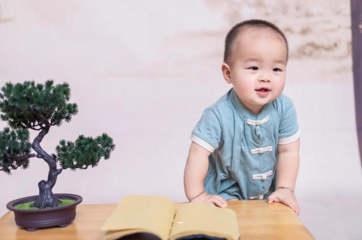 无锡可爱的企鹅宝宝